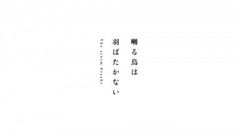 Saezuru Tori wa Habatakanai: The Storm Breaks