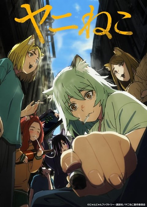 Chainsmoker Cat