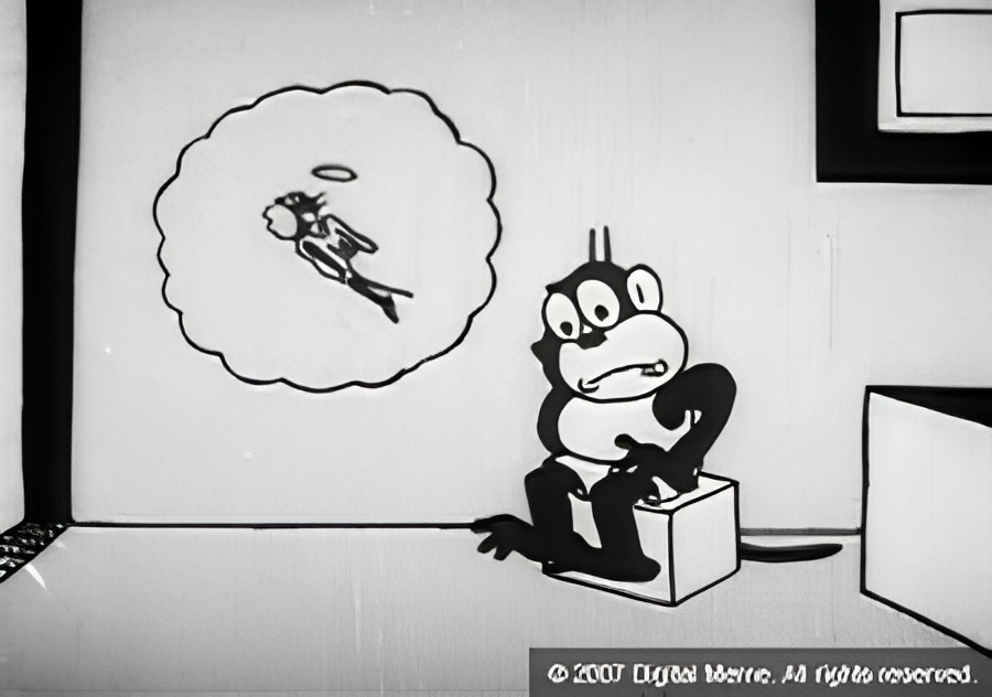 Swim, Monkey, Swim!
