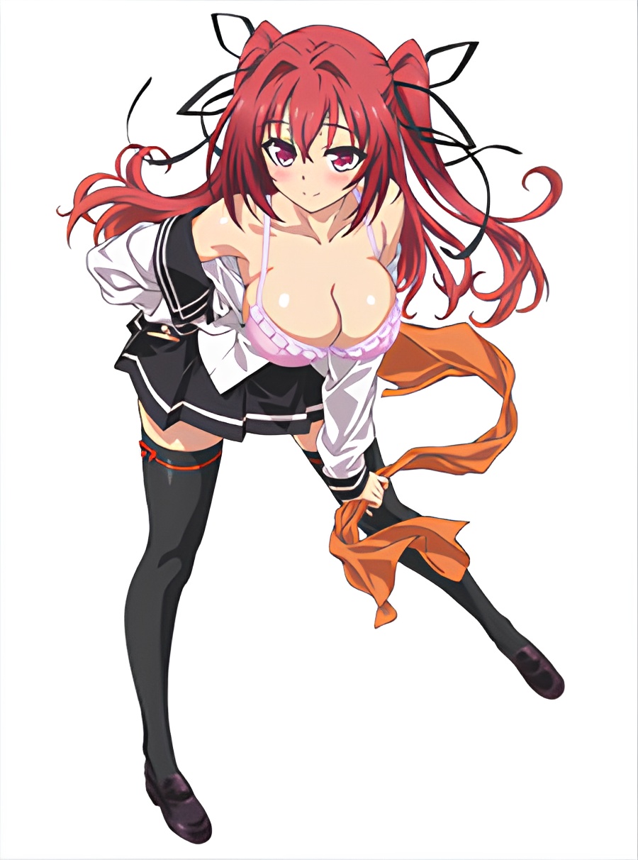 The Testament of Sister New Devil Specials