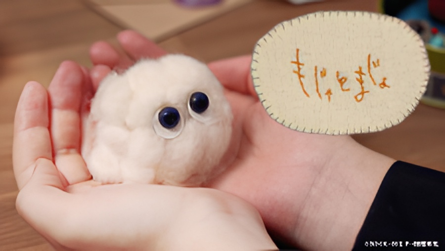 Moja to Majo (TV Special)