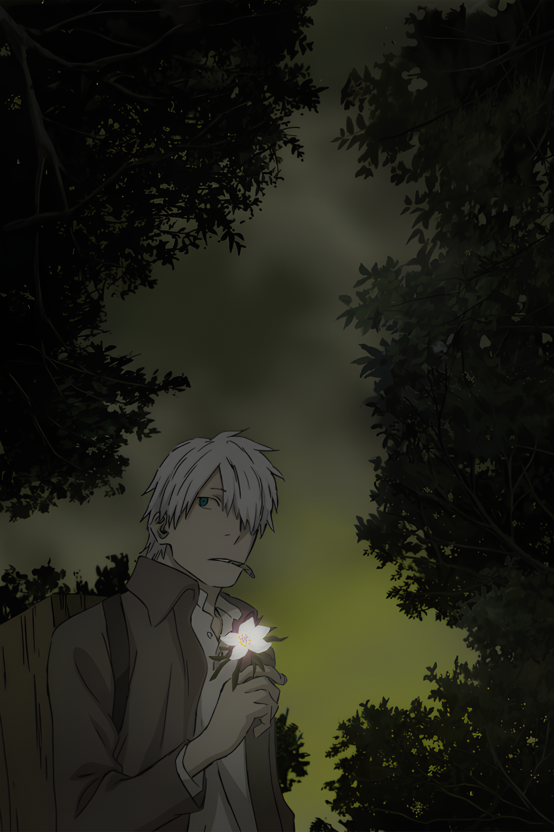 Mushi-shi: The Shadow that Devours the Sun