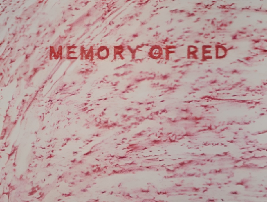 Memory of Red
