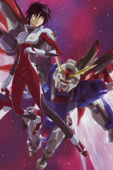 Mobile Suit Gundam SEED Destiny Special Edition