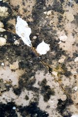 Metamorphose Works No.2