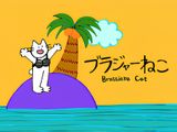 Brassiere Cat
