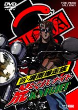 Shin Shounan Bakusouzoku Arakure Knight