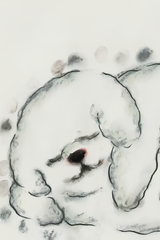 The Cloudy Dog Talk About