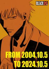 Bleach 20th Anime Anniversary