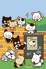 Tama of Third Street: Have You Seen My Tama?