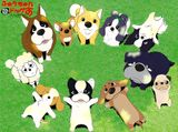 Fortune Dogs