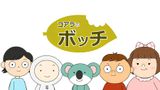 Koala no Bocchi