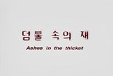 Ashes In The Thicket