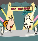 Usa Weather Show