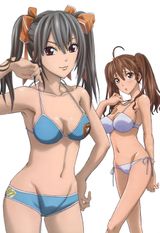 Valkyria Chronicles: Theater