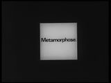 Metamorphose.