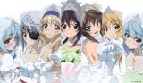 IS: Infinite Stratos 2 - Infinite Wedding
