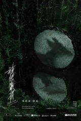 Compound Eyes of Tropical