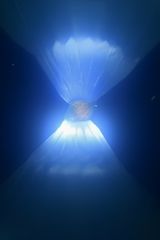 Luka and the Flower of the Sun