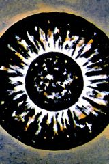 Metamorphose Works No.1