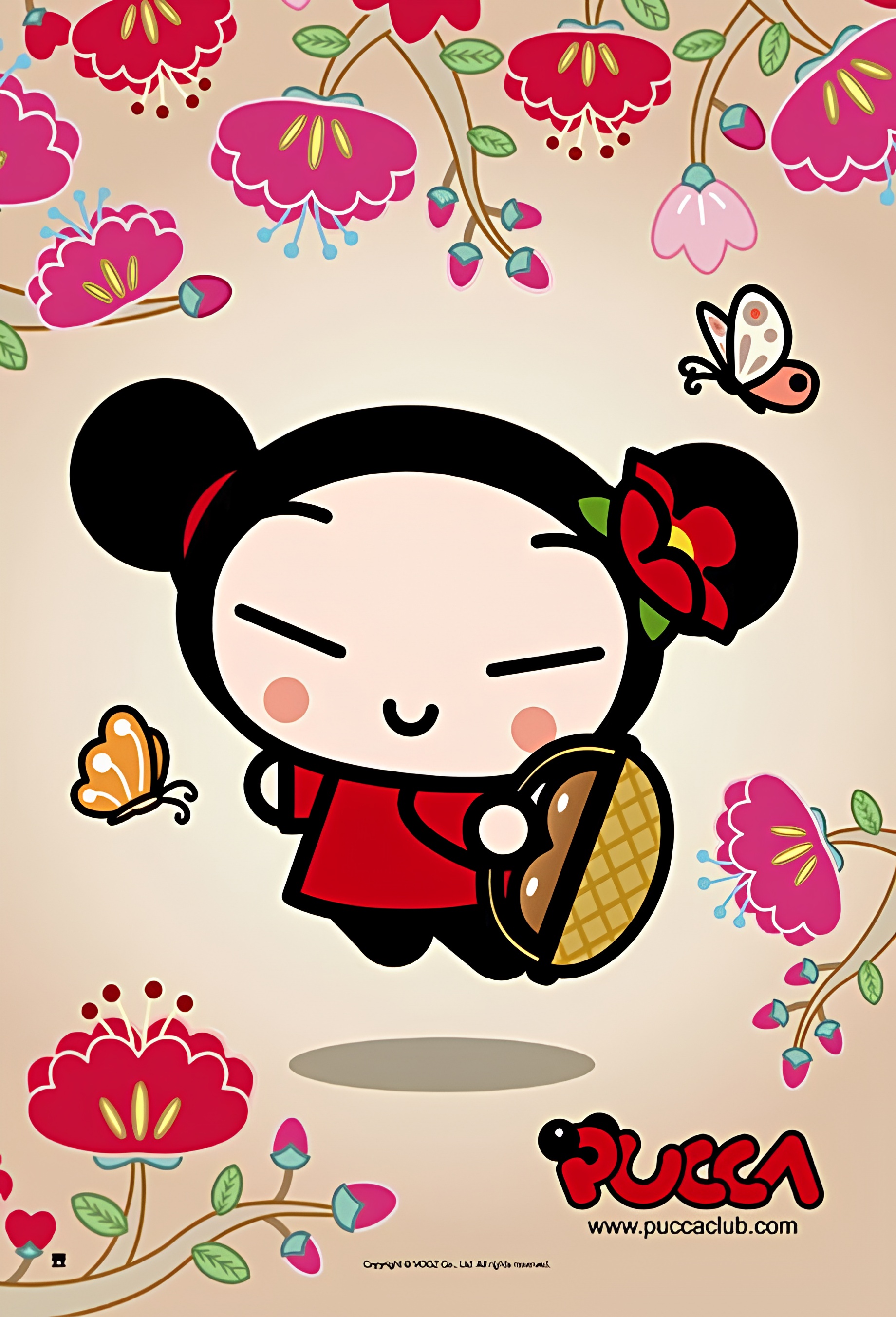 Pucca (TV) 2nd Season