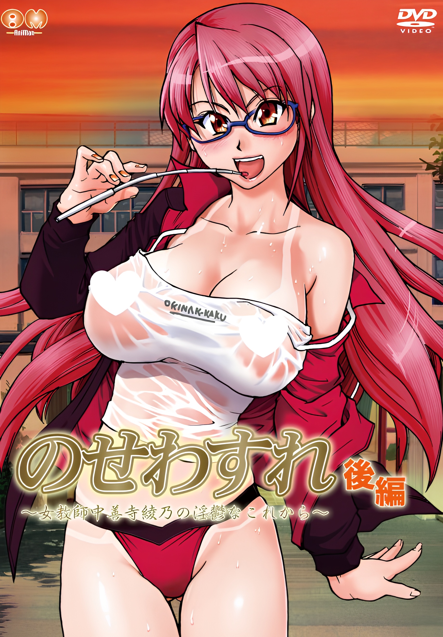 Nosewasure: Onna Kyoushi Chuuzenji Ayano no Inutsu na Kore kara