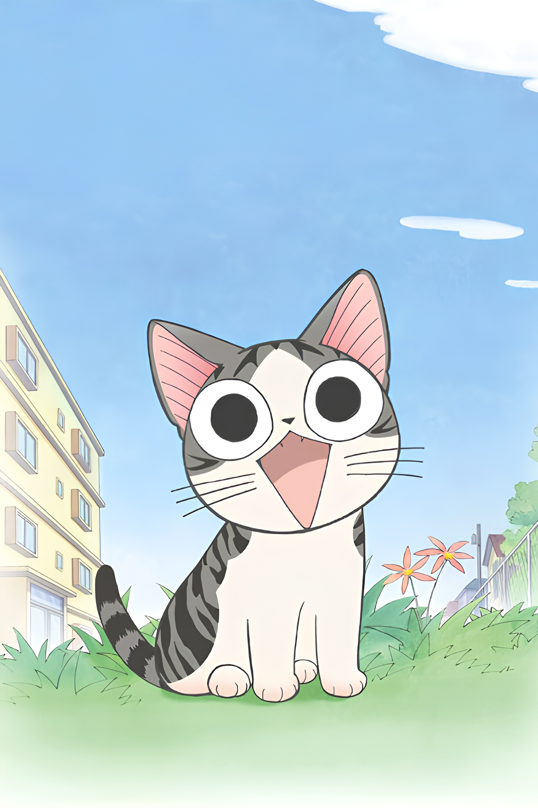 Chi's Sweet Home