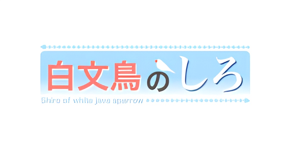 Shiro the White Java Sparrow