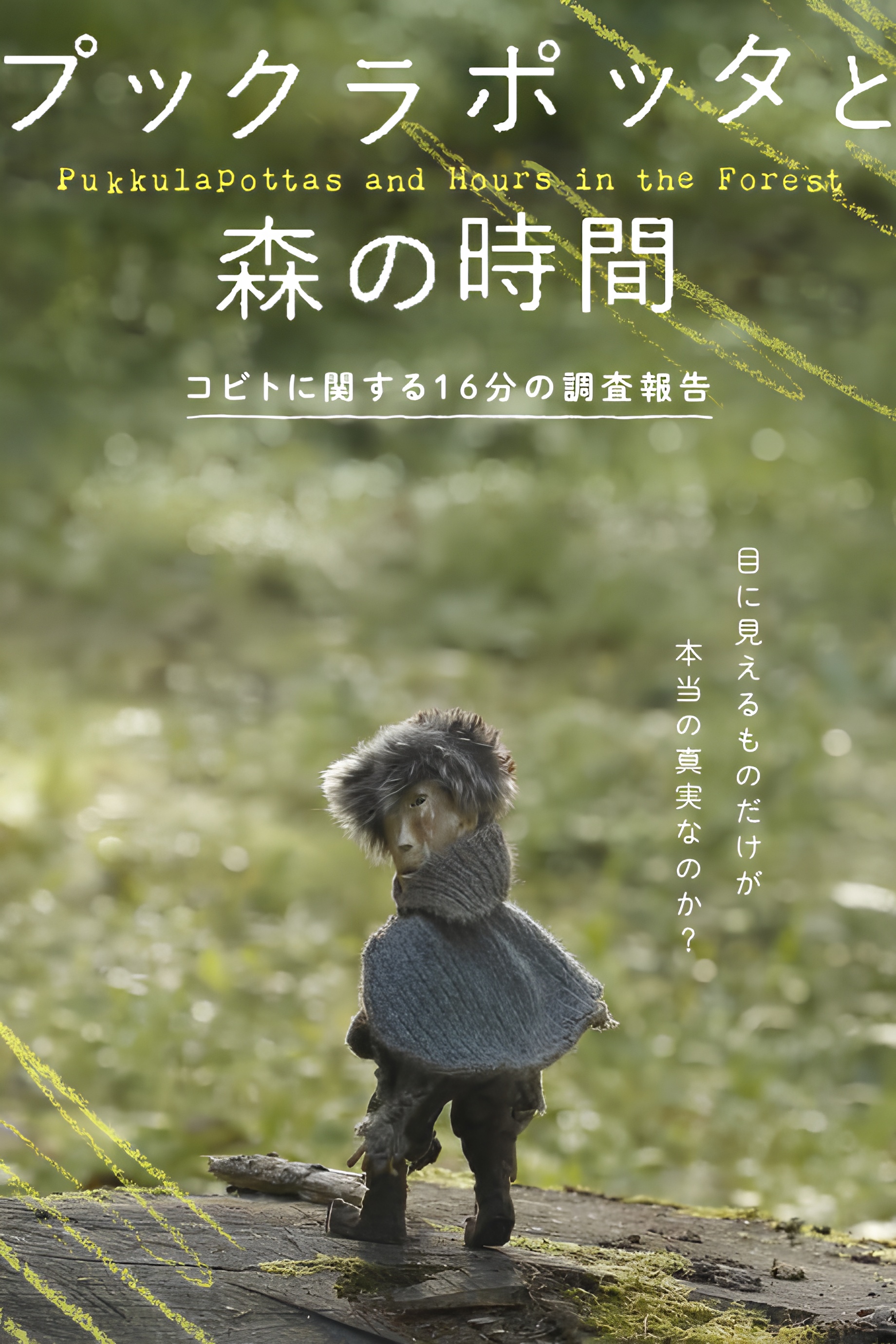 Pukkulapottas and Hours in the Forest