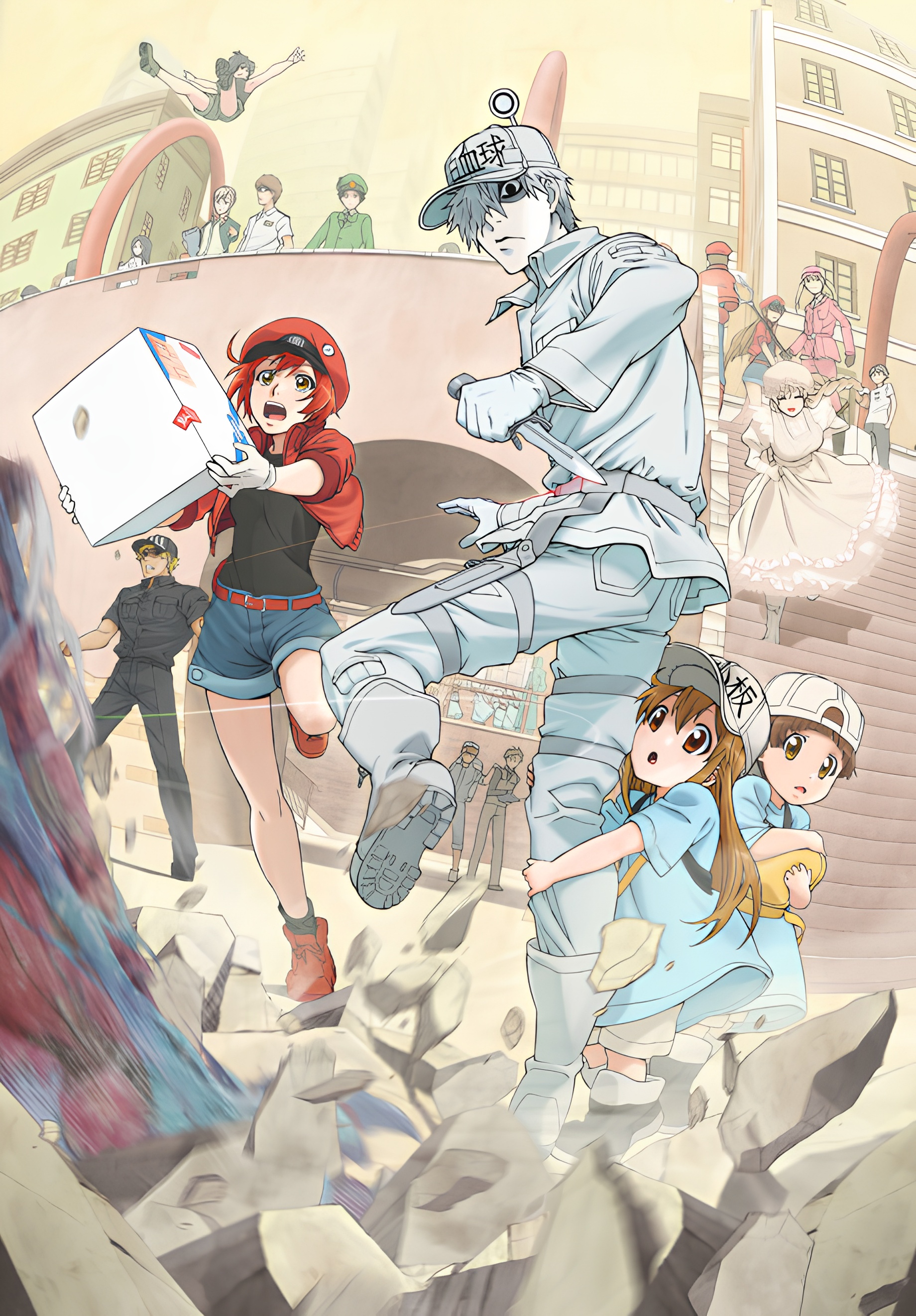 Cells at Work!