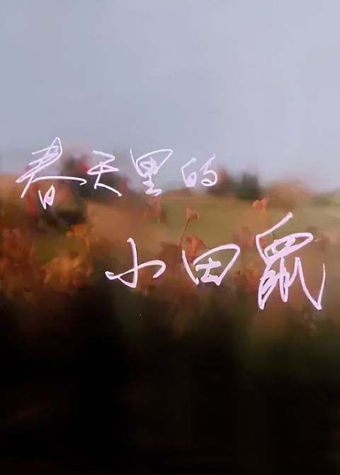 Chuntian Li De Xiaotian Shu
