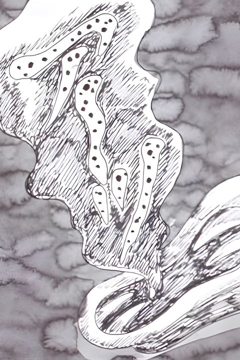 Ten Nights' Dreams