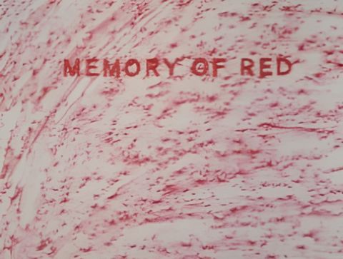 Memory of Red
