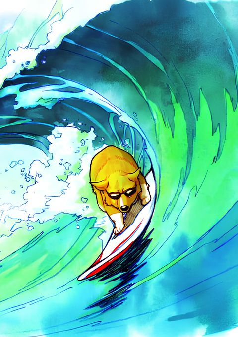 Cowboy Bebop: Ein's Summer Vacation