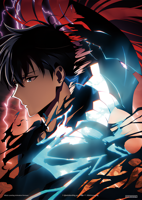 Solo Leveling: ReAwakening