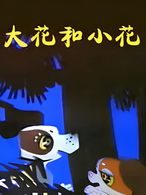 Da Hua He Xiao Hua