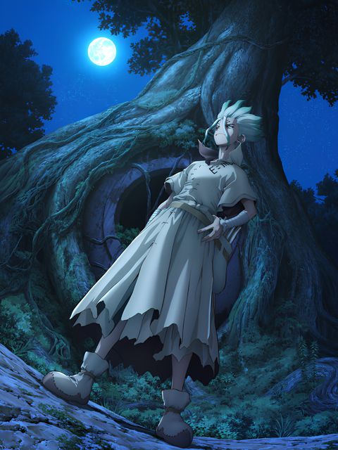 Dr. STONE New World