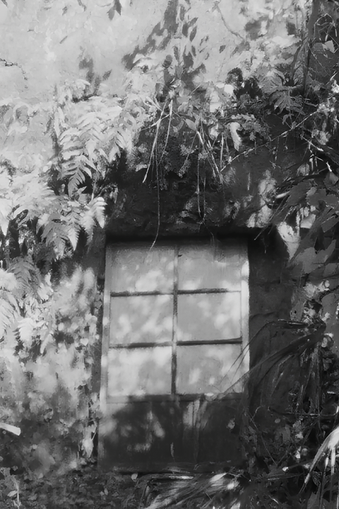 My Shelter