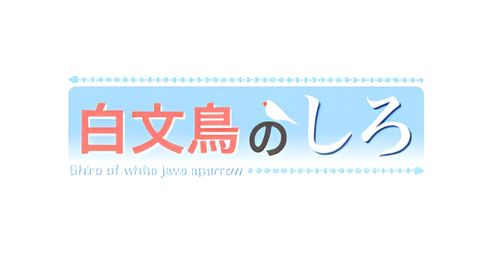 Shiro the White Java Sparrow