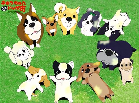 Fortune Dogs