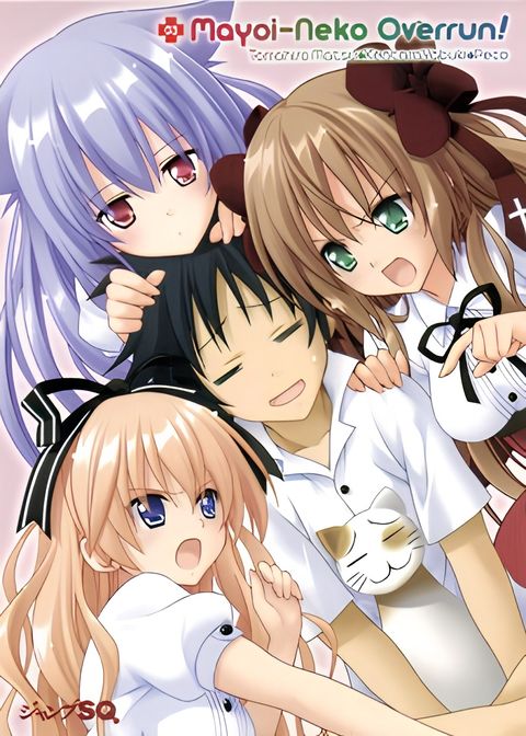 Mayoi Neko Overrun! Specials