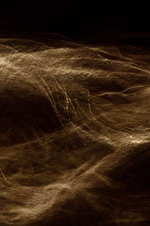 Trackless Lines