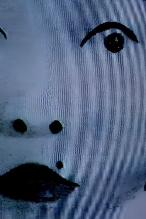 aaH / Hee
