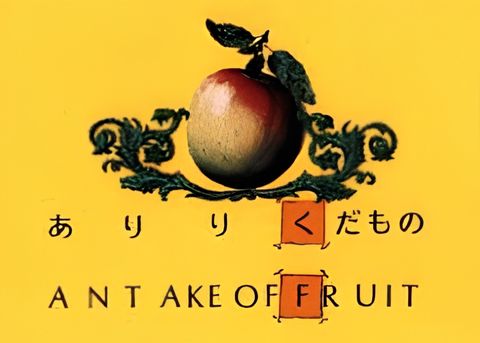 Japanese-English Pictionary