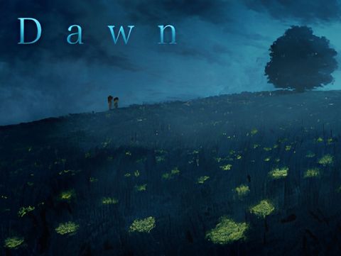 Dawn