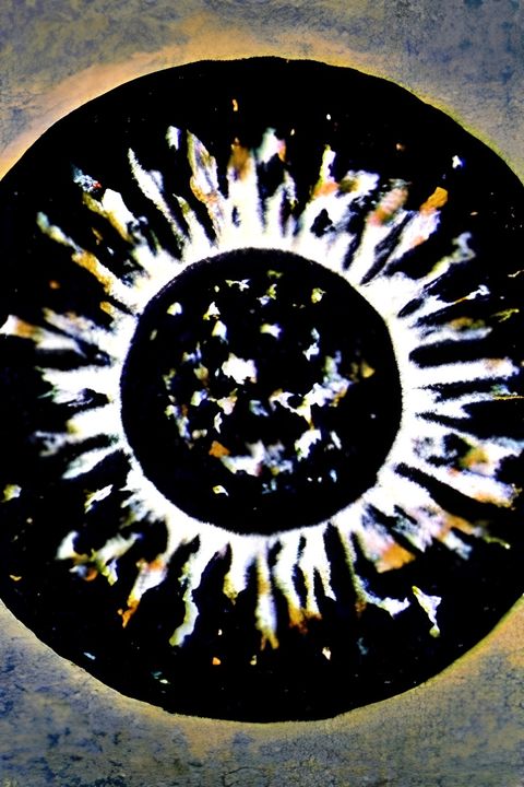 Metamorphose Works No.1