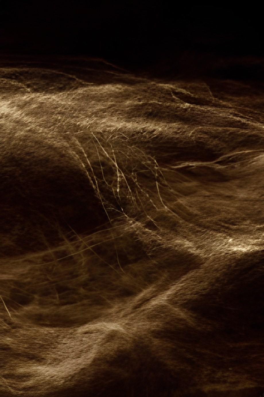 Trackless Lines