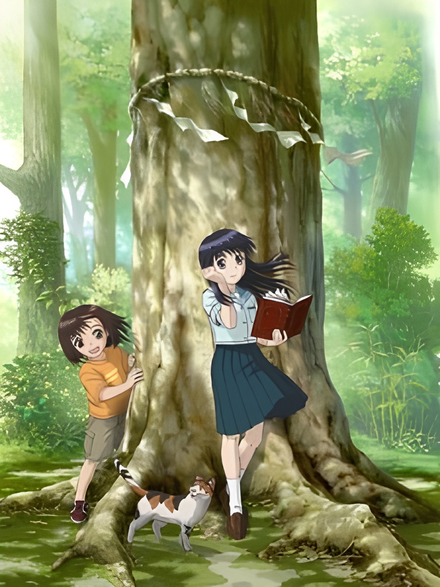 Mokke Special Episodes