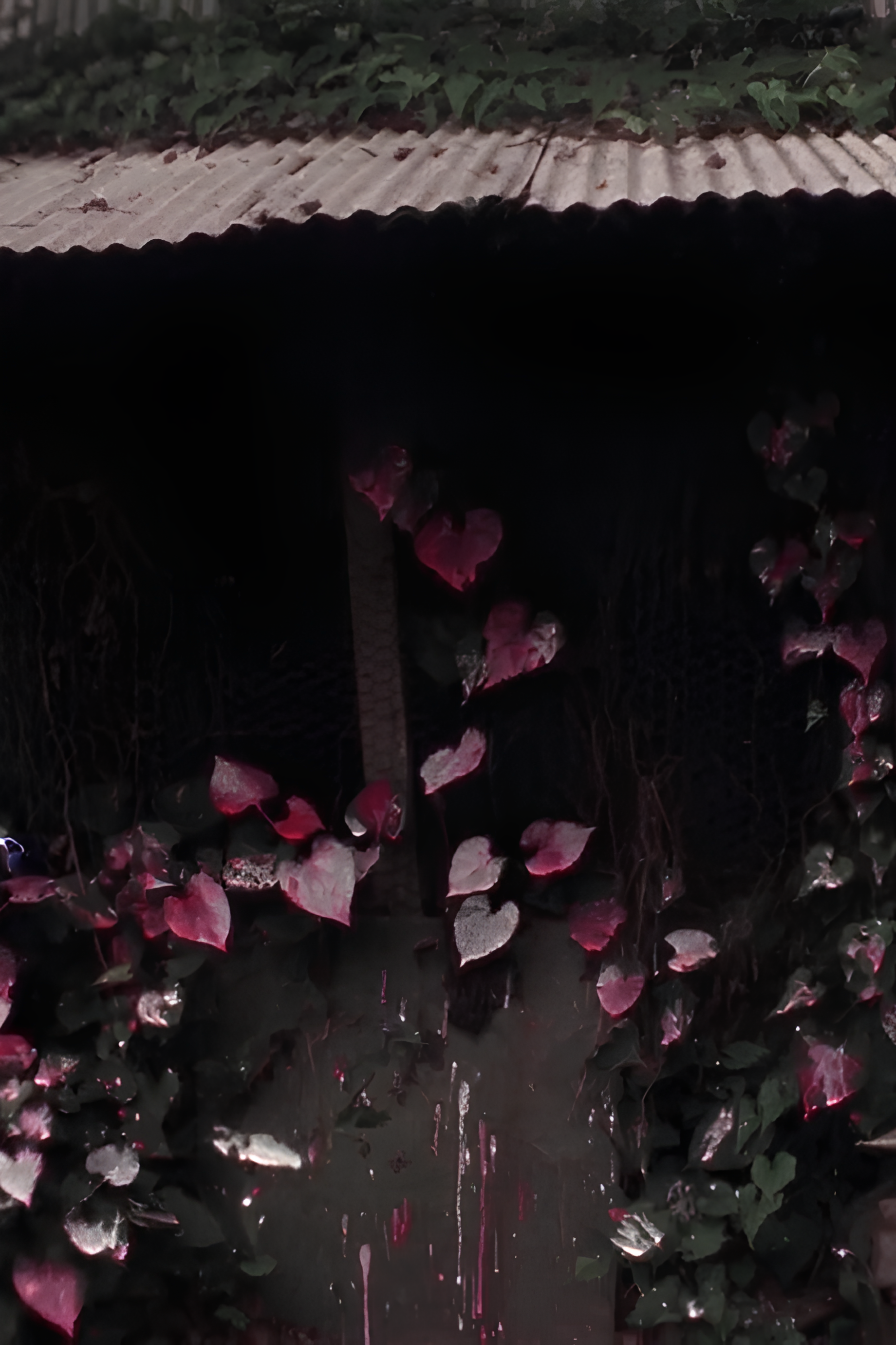 Shelter