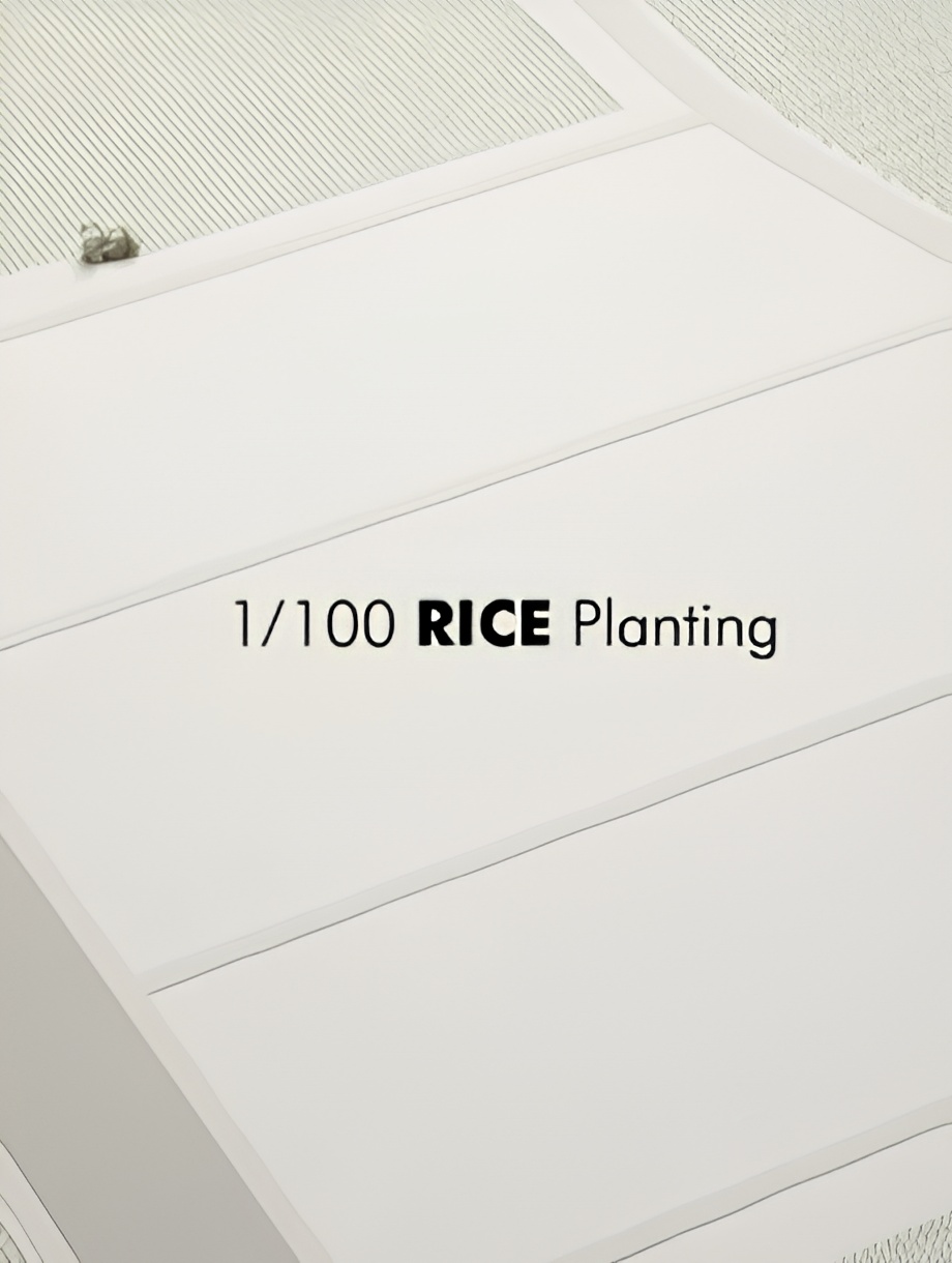 1/100 RICE Planting